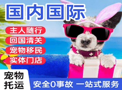 安顺黄果树机场快运国际宠物托运 【国